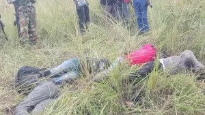 NAS Condemns SSPDF-Linked Massacre of Civilians in Wonduruba