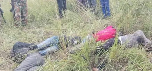 NAS Condemns SSPDF-Linked Massacre of Civilians in Wonduruba